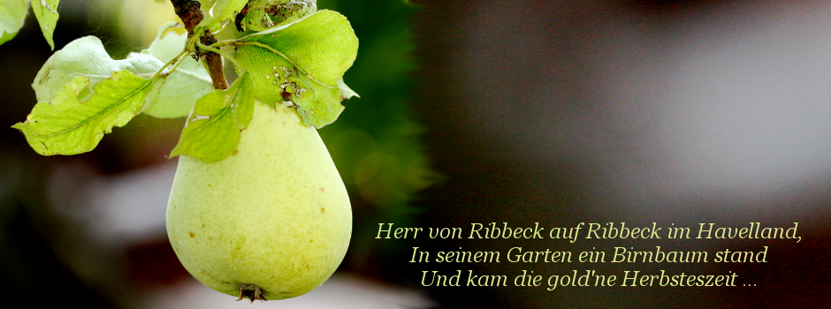 Birne mit Gedicht Herr von Ribbeck ...